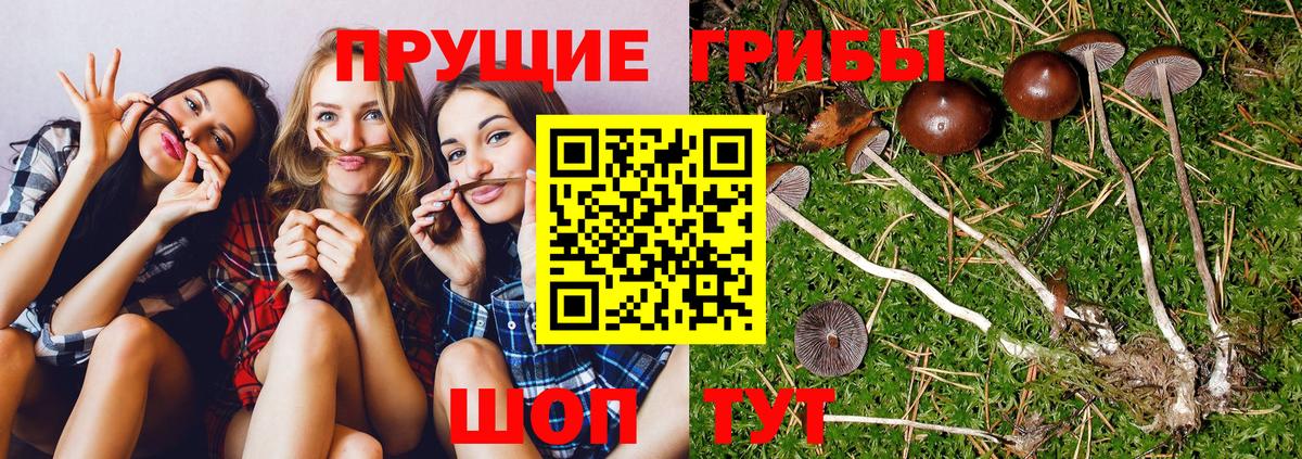 Лангепас  Псилоцибиновые грибы мухоморы  купить закладку  Вход с VPN 