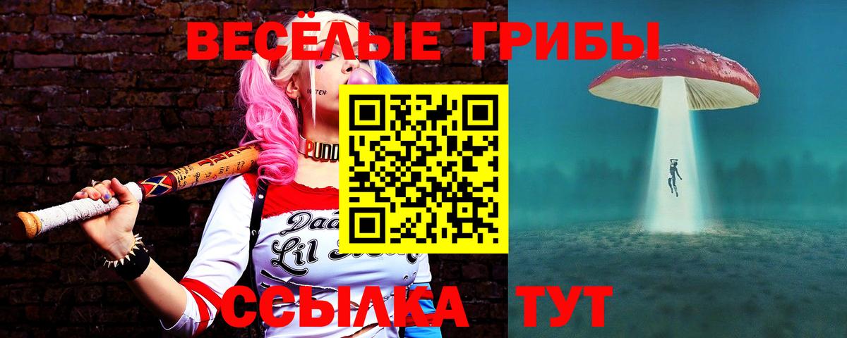 Галлюциногенные грибы прущие грибы Лангепас